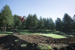 46369_19_CRF250R_Action_M__2587_ORIGINAL