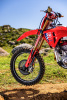 76233_25YM_CRF250RWE_Location_01037_ORIGINAL